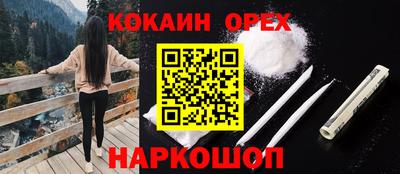 тгк Гусев