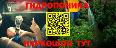 тгк Гусев
