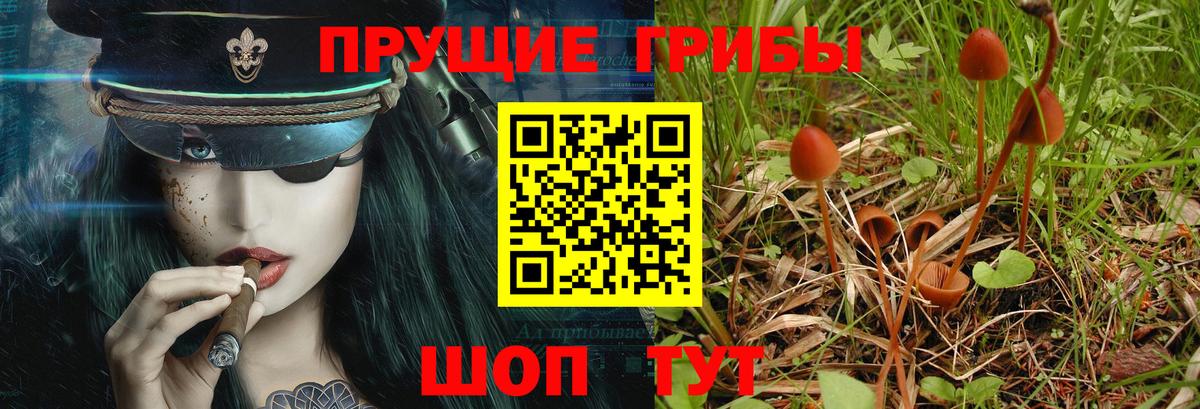 Галлюциногенные грибы мухоморы  Псилоцибиновые грибы Magic Shrooms  Мыски  Вход с VPN 