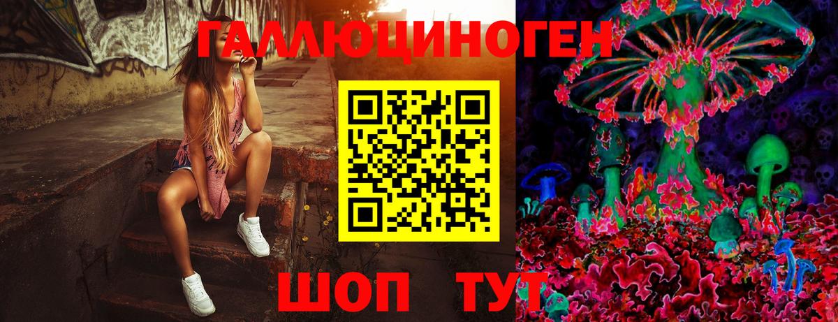 Галлюциногенные грибы мухоморы Мыски